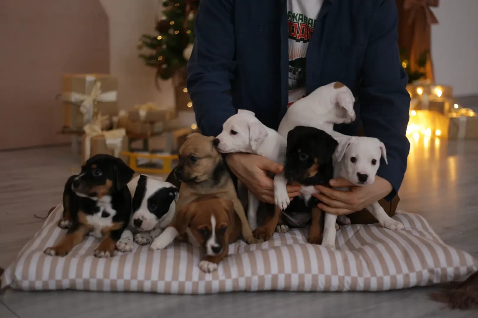 carousel-image-mobile-0