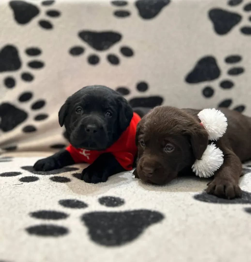 carousel-image-mobile-0