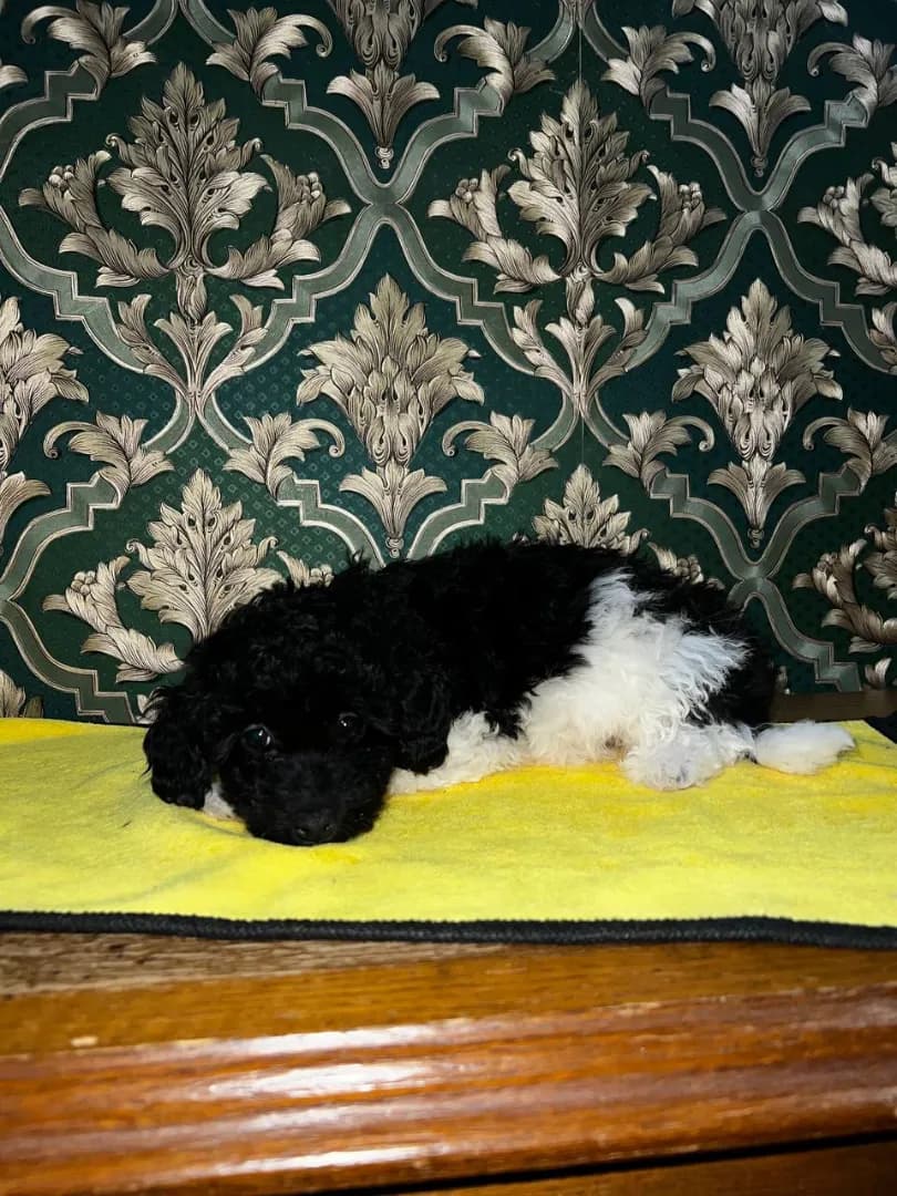 carousel-image-mobile-0