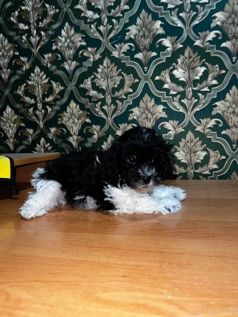 carousel-image-mobile-0