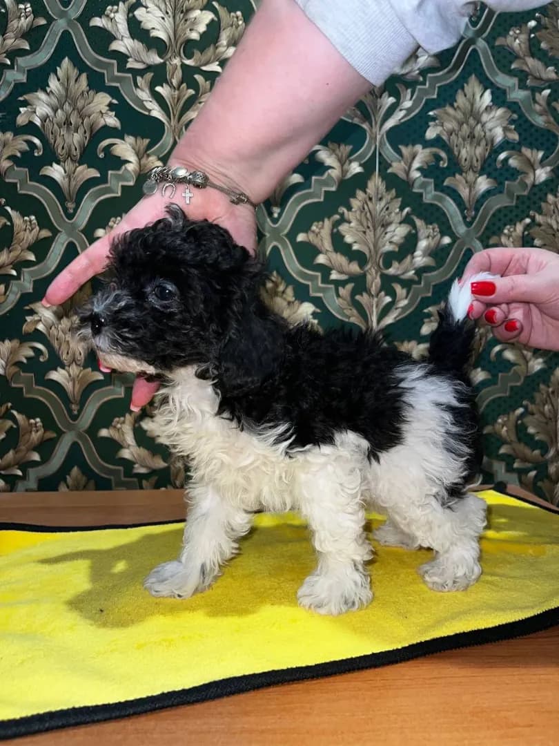 carousel-image-mobile-1