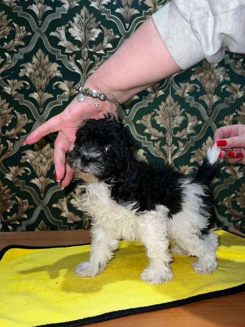 carousel-image-mobile-2