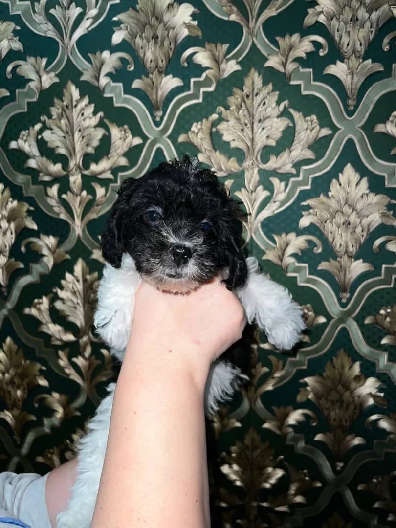 carousel-image-mobile-4