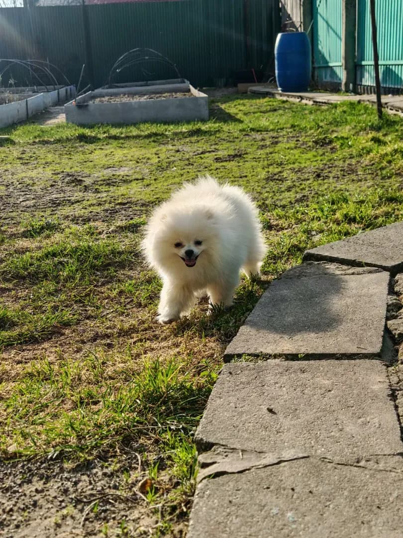 carousel-image-mobile-0