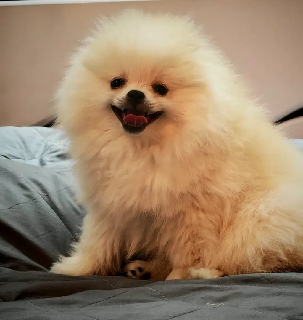 carousel-image-mobile-2