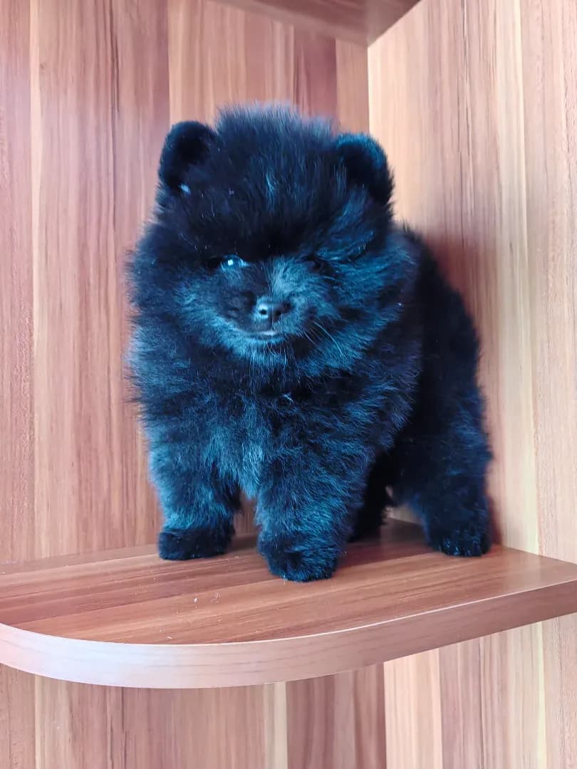 carousel-image-mobile-0